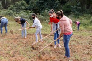 agricultor estudando em campo com livros