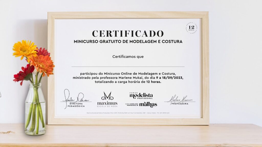 Por que não recebi meu certificado após concluir o curso da empresa