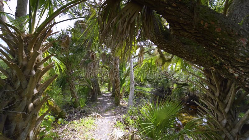 Qual é o melhor jeito de conhecer o Jardim Ermida I em Jundiaí SP