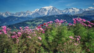 caminho deslumbrante entre montanhas e arvores