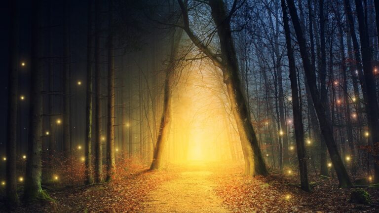 caminho iluminado pela natureza ao amanhecer