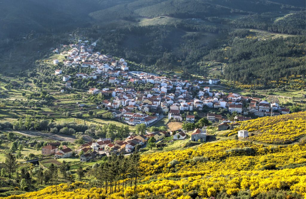 Qual É O Tipo De Agricultura Predominante Na Região Sul Do Brasil