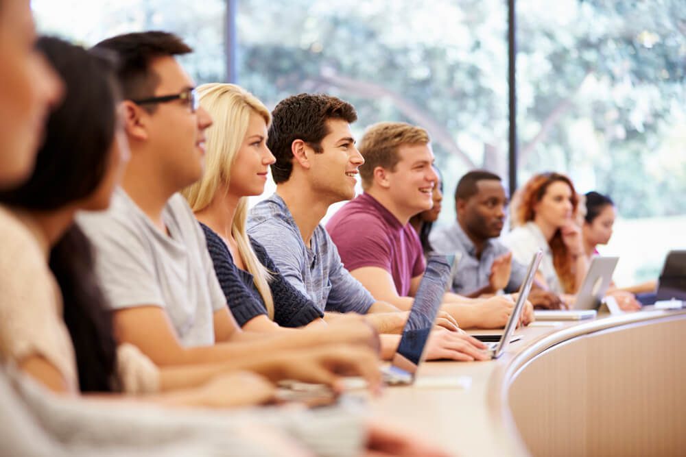 Qual é a grade curricular dos cursos da Universidade Veiga de Almeida em Cabo Frio