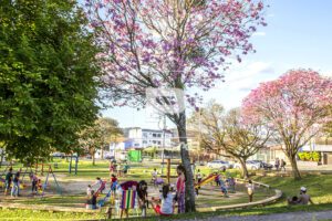 criancas brincando em um parque florido