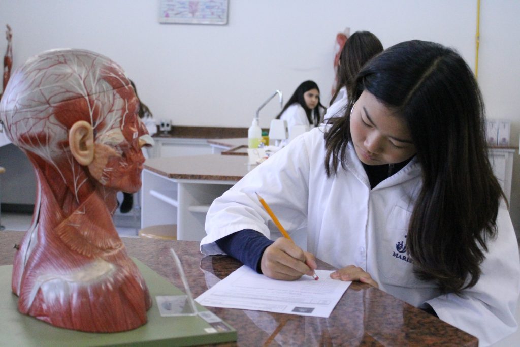 estudante analisando musculos em laboratorio