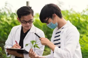 estudantes analisando plantas de engenharia