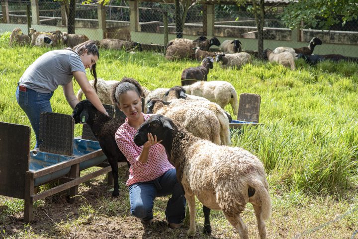 Quanto Tempo Dura o Curso de Técnico em Agropecuária Descubra Aqui!