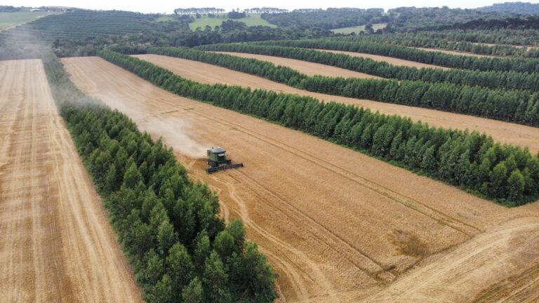 fazenda com colheitas e expansao em andamento