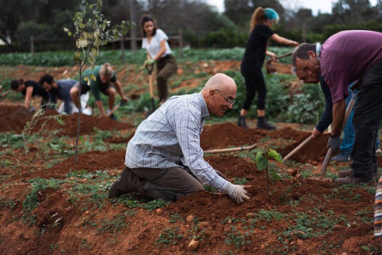 floresta com pessoas plantando arvores