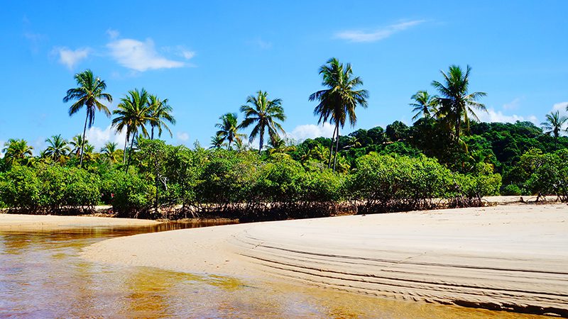 Quais são as principais atrações da Praia de Vilas do Atlântico em Lauro de Freitas