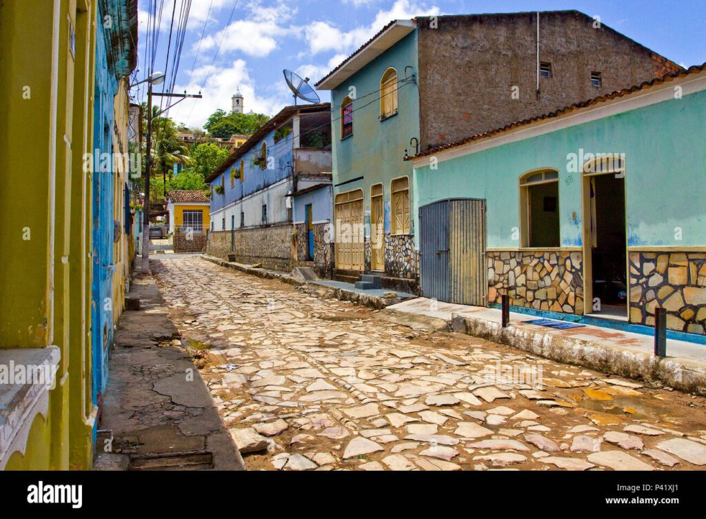 rua arborizada com casas historicas