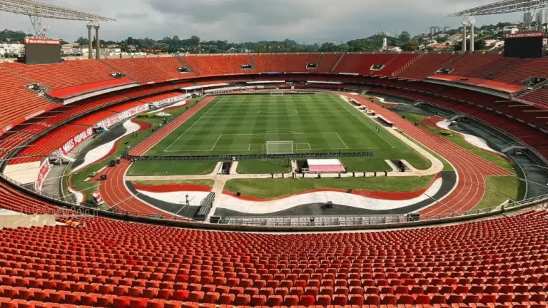 torcedores animados no morumbi stadium