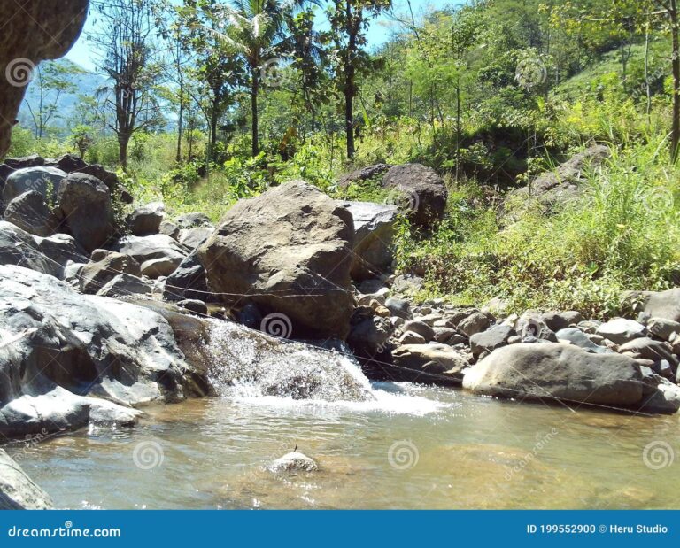 uma paisagem vista de uma margem fluvial